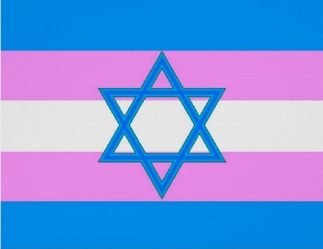 transgender_jewish_pride_flag_poster-r30c032d5f36d4c5dab08a85b7ca9a2f0_vhbx_8byvr_512
